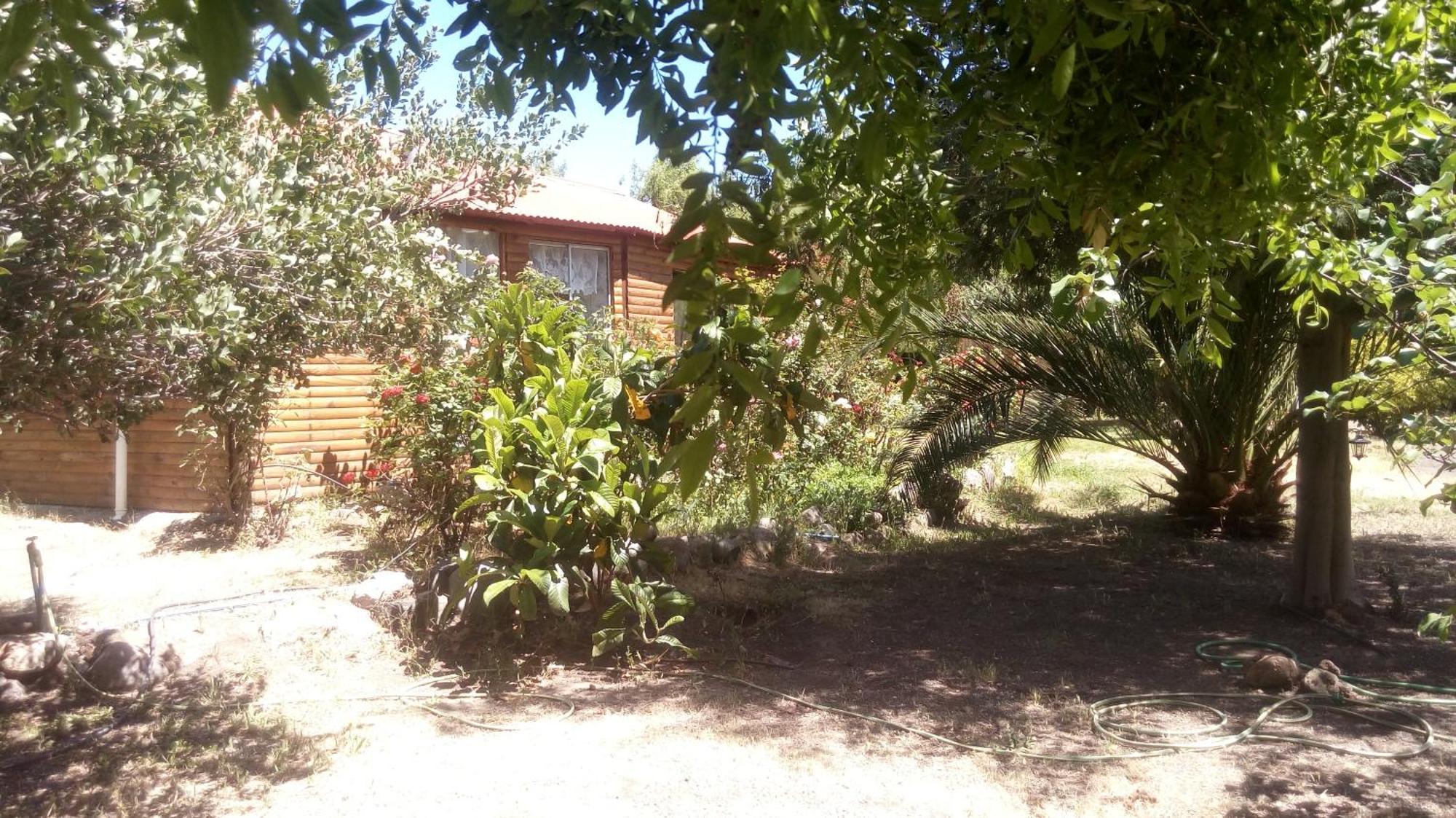 Cabanas Cipres Guayacan  Екстериор снимка